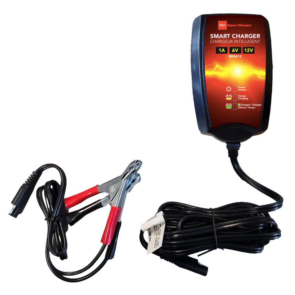 6V/12V Trickle Charger - Battery Maintainer & Rejuvenator