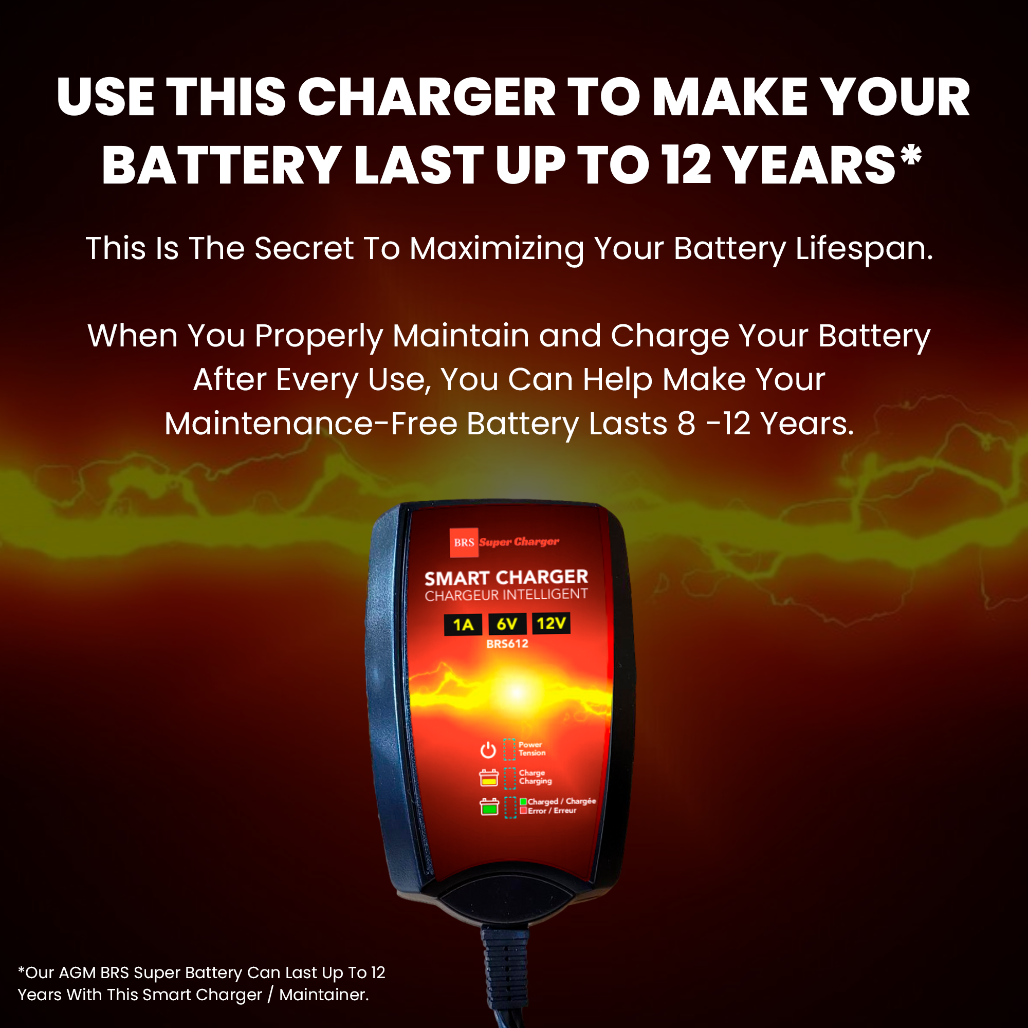 6V/12V Trickle Charger - Battery Maintainer & Rejuvenator