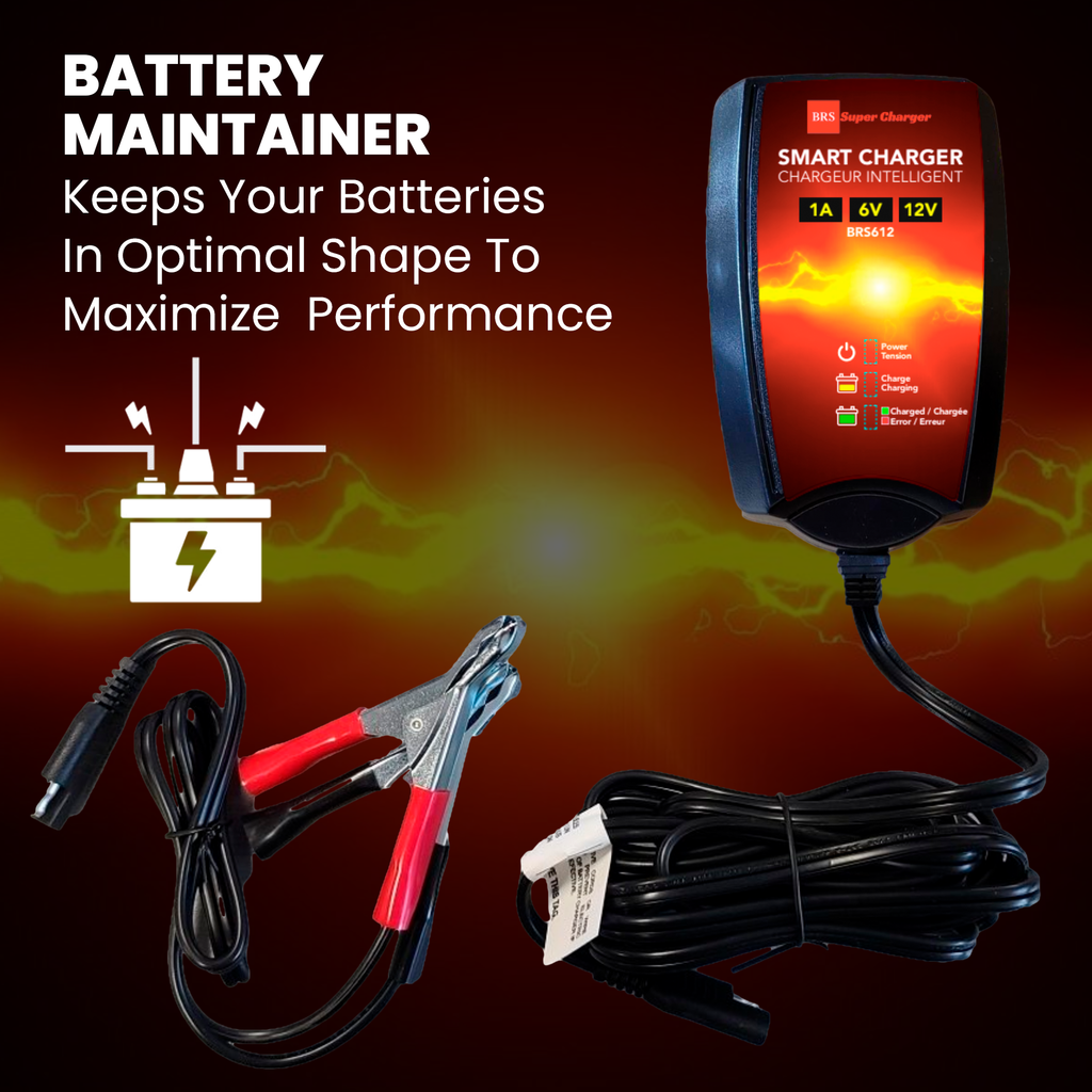 6V/12V Trickle Charger - Battery Maintainer & Rejuvenator