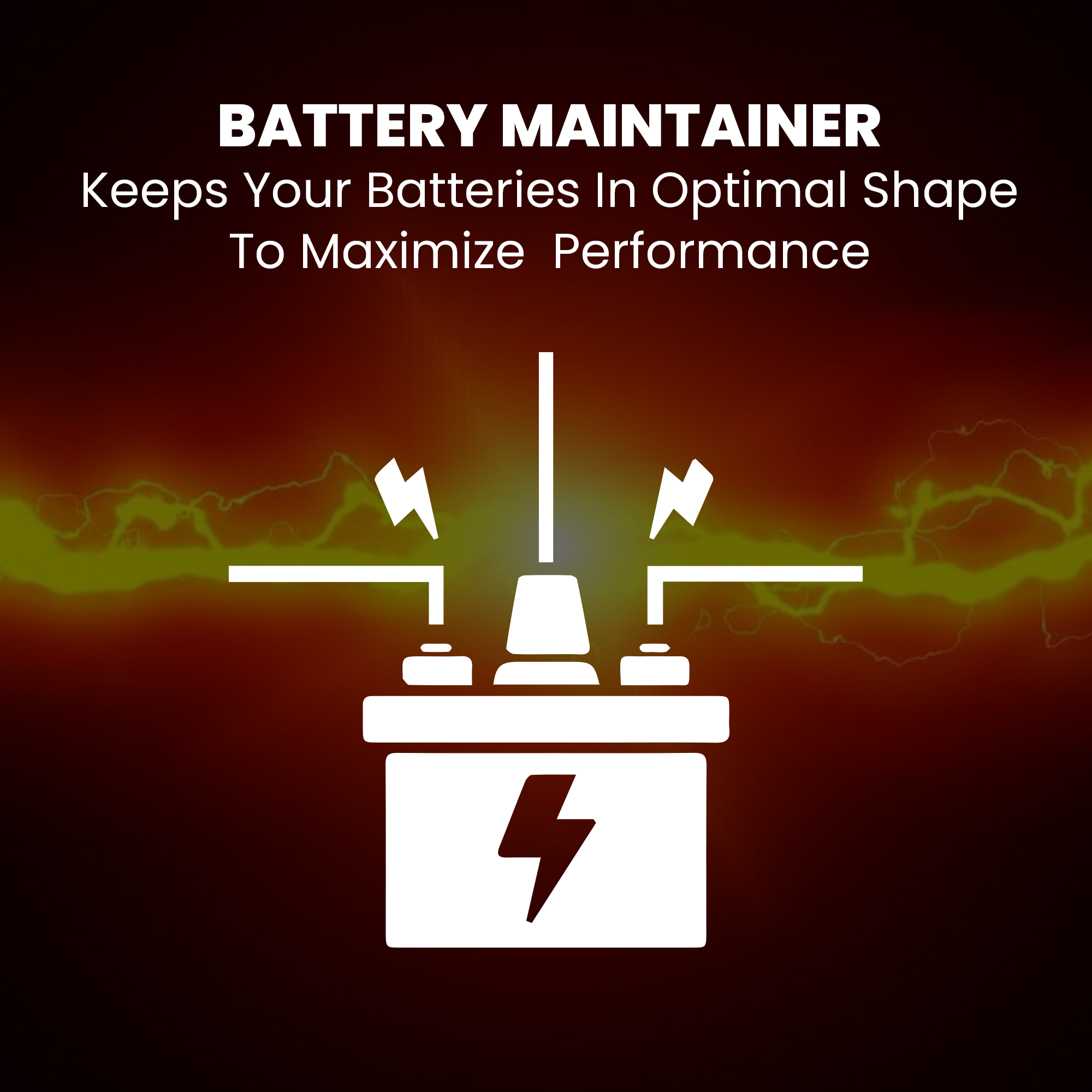 6V/12V Trickle Charger - Battery Maintainer & Rejuvenator
