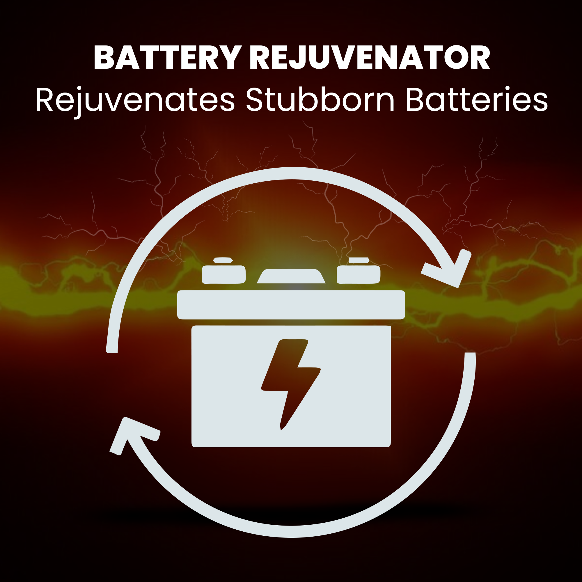6V/12V Trickle Charger - Battery Maintainer & Rejuvenator