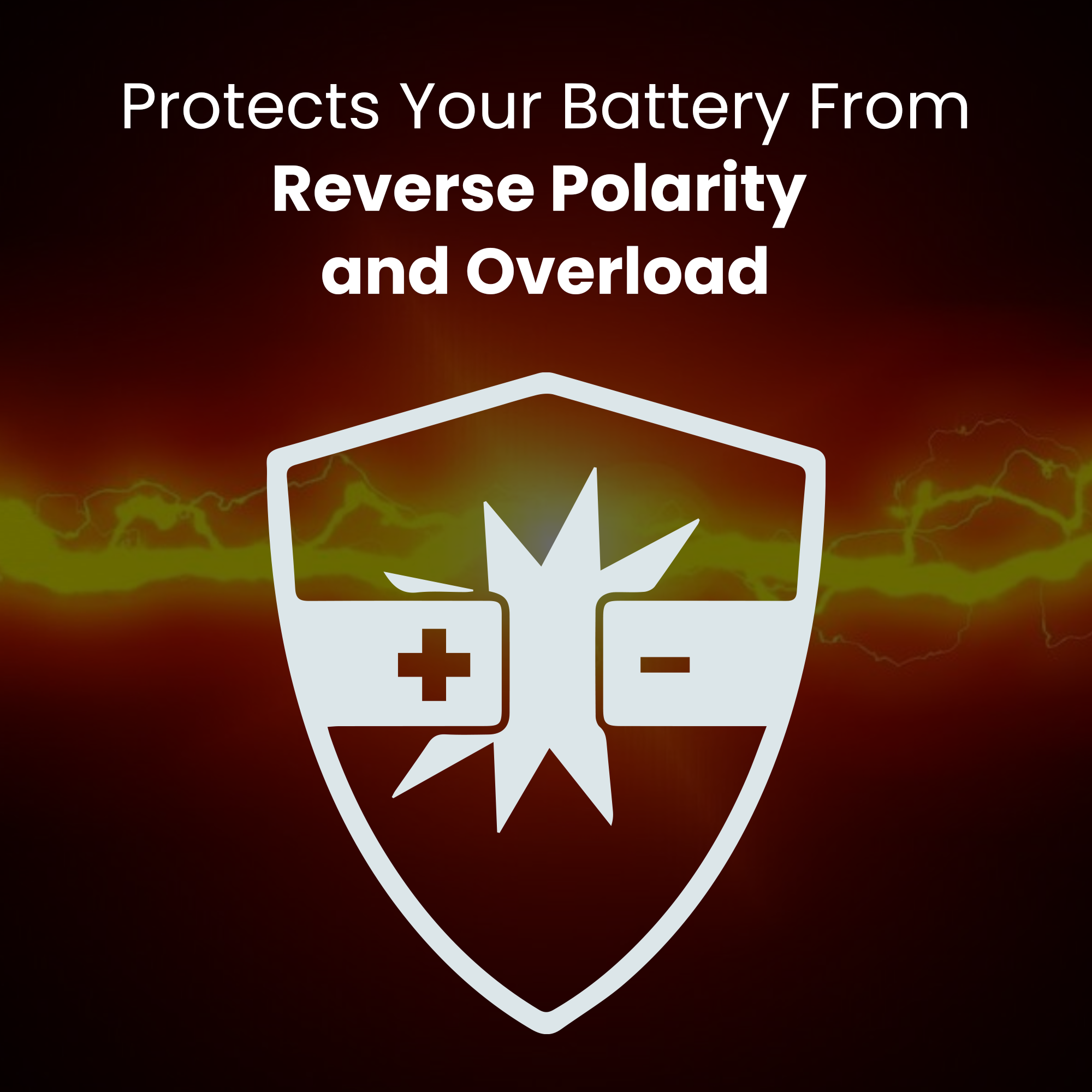 6V/12V Trickle Charger - Battery Maintainer & Rejuvenator