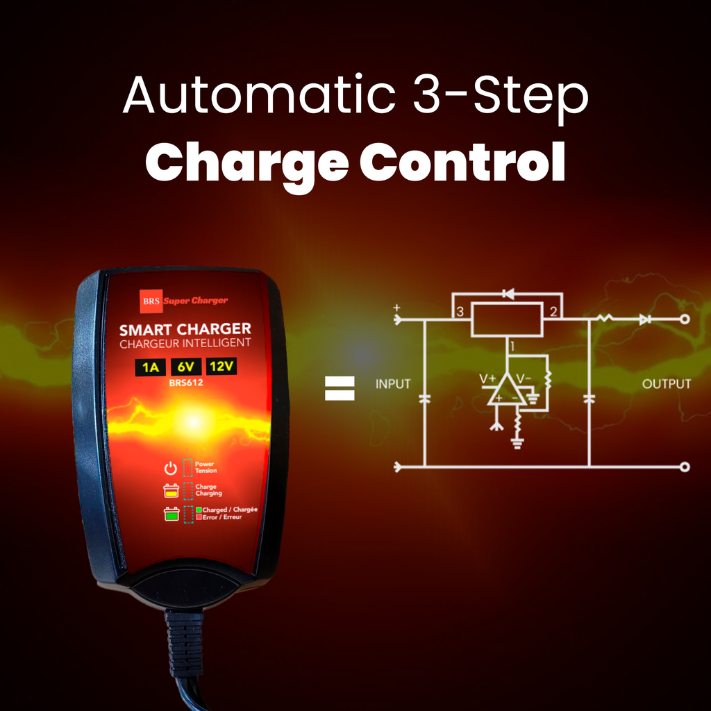 6V/12V Trickle Charger - Battery Maintainer & Rejuvenator
