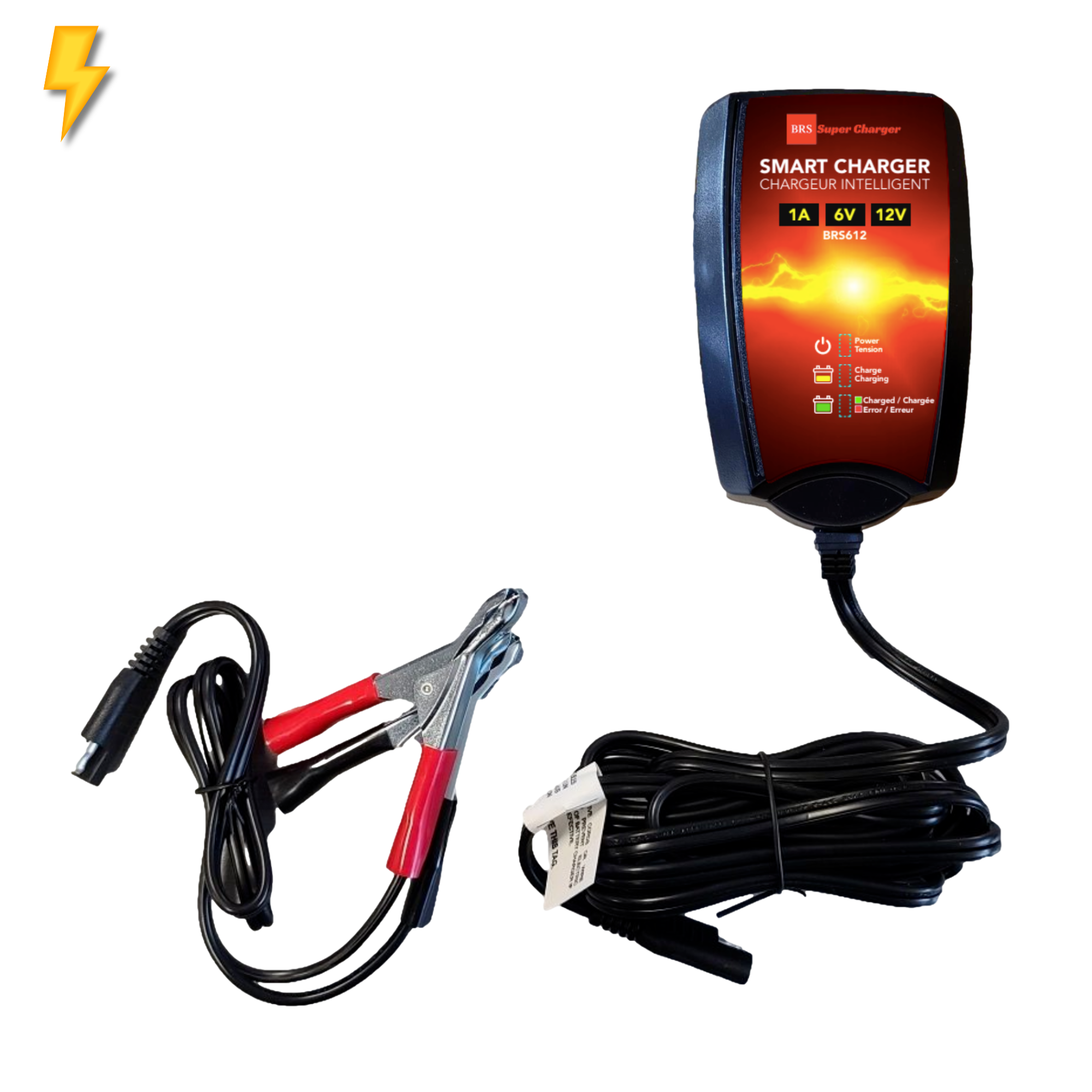 6V/12V Trickle Charger - Battery Maintainer & Rejuvenator
