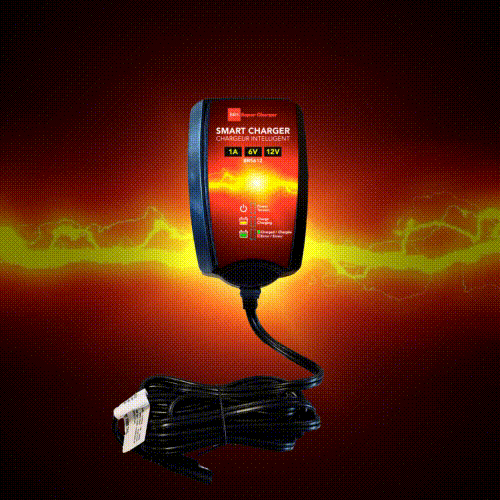 6V/12V Trickle Charger - Battery Maintainer & Rejuvenator