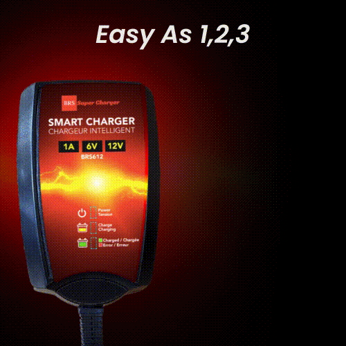 6V/12V Trickle Charger - Battery Maintainer & Rejuvenator