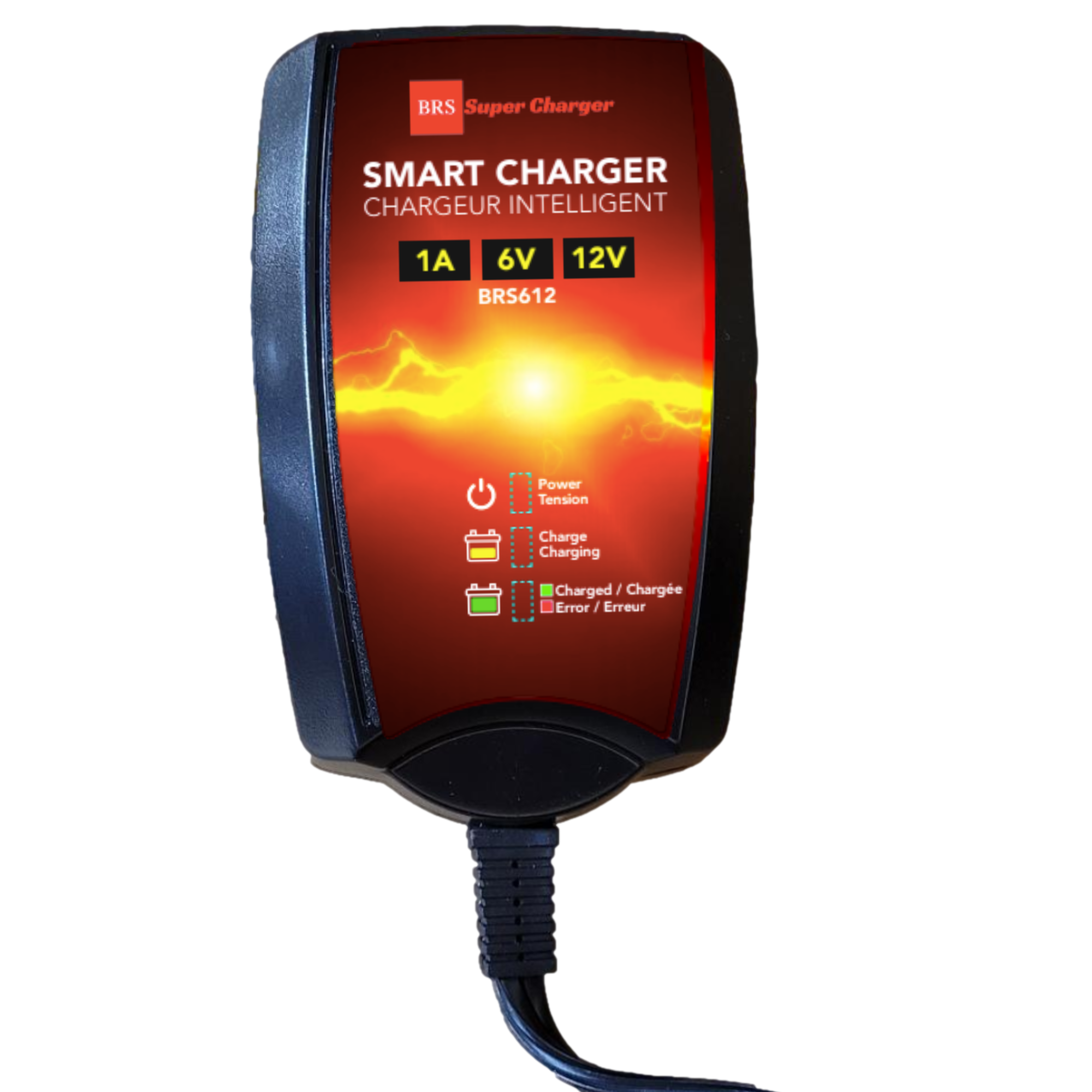 6V/12V Trickle Charger - Battery Maintainer & Rejuvenator