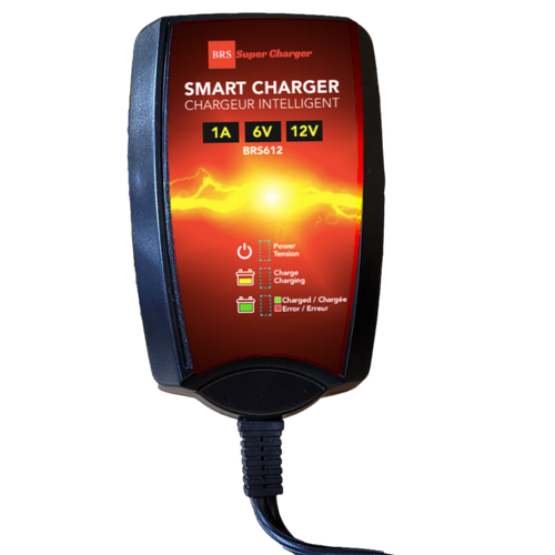 6V/12V Trickle Charger - Battery Maintainer & Rejuvenator