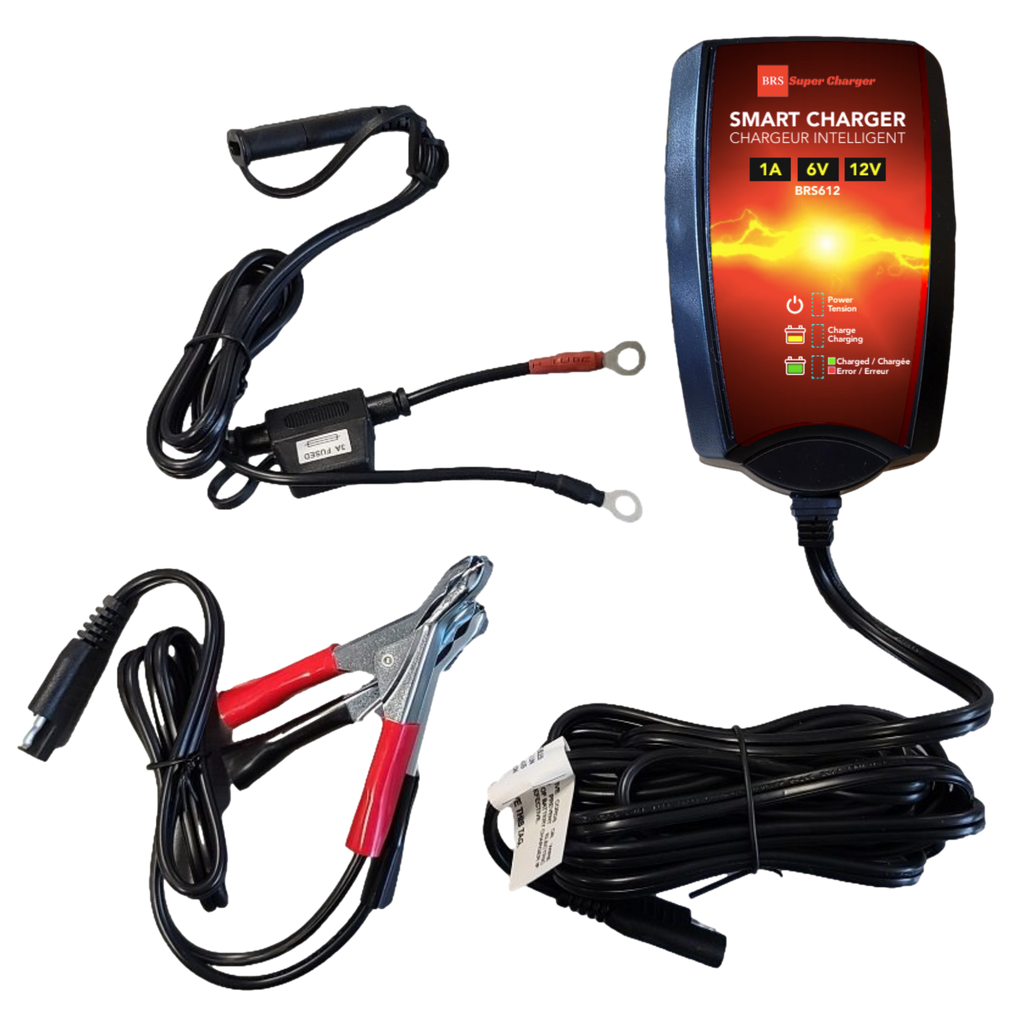 6V/12V Trickle Charger - Battery Maintainer & Rejuvenator