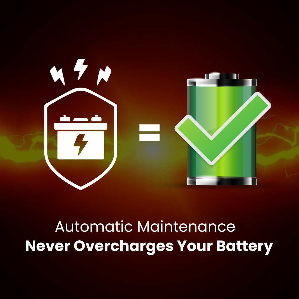6V/12V Trickle Charger - Battery Maintainer & Rejuvenator