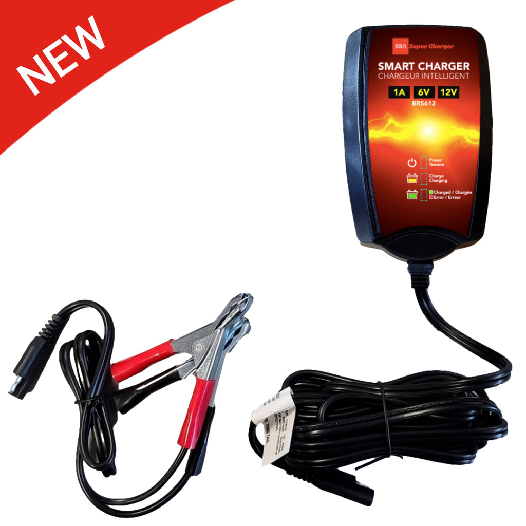 6V/12V Trickle Charger - Battery Maintainer & Rejuvenator