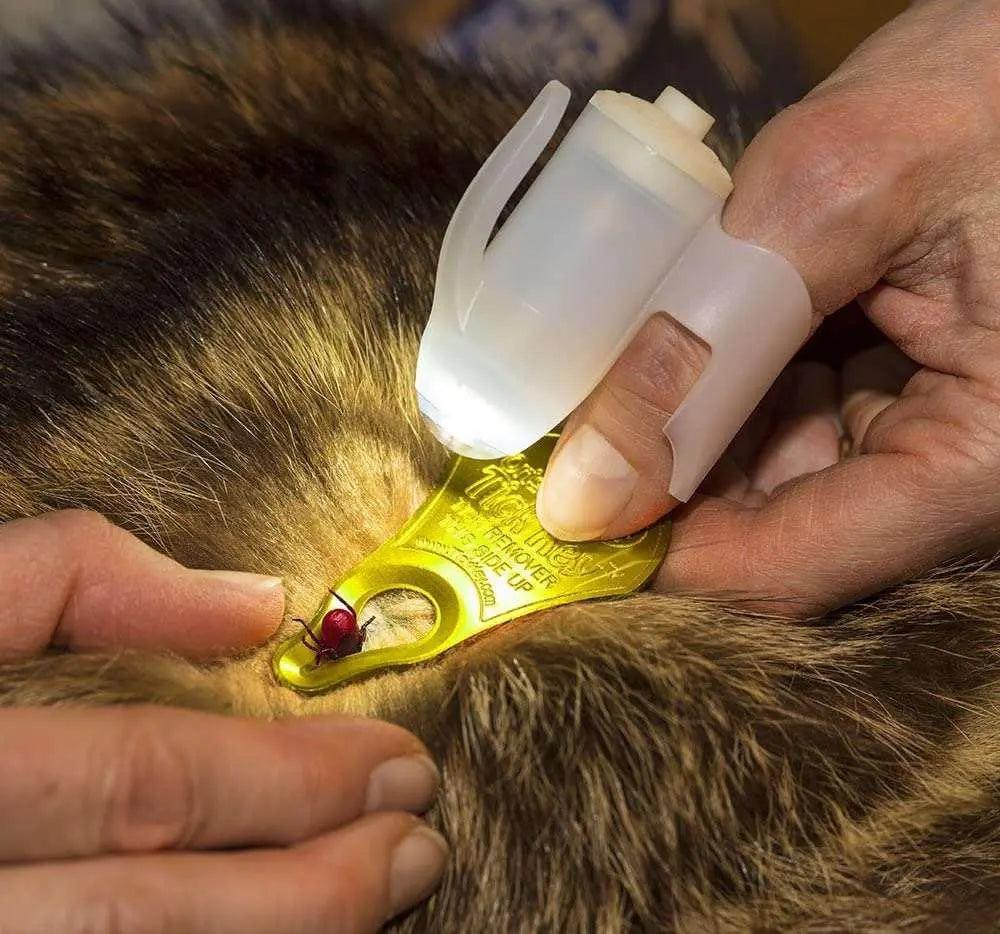 TickSee Tick Removal Kit